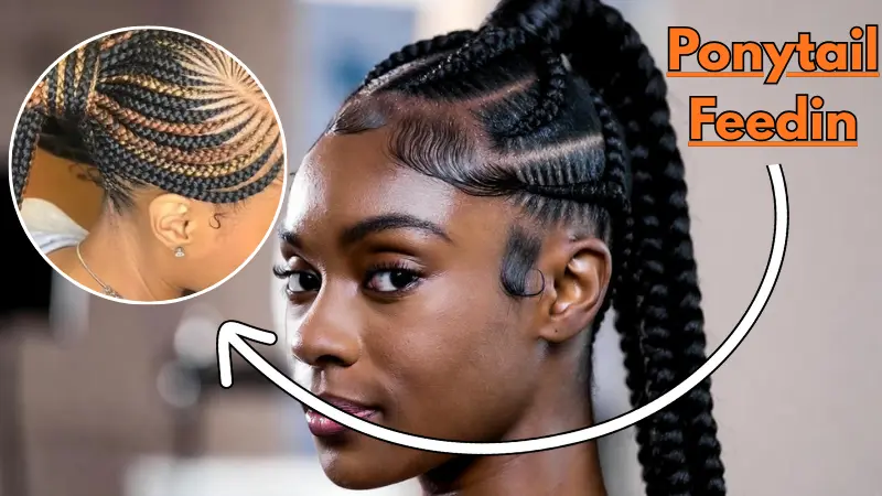 Ponytail Feed-In Braids: The Ultimate Hair Trend That's Breaking the Internet! Discover Why This Sleek, High-Glamour Style Is America's Most Requested Protective Hairstyle Right Now